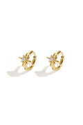Oorbellen ster goud