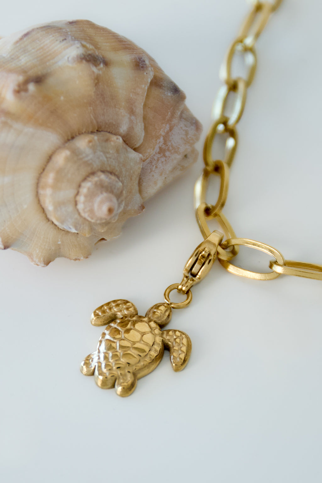 Bedel schildpad