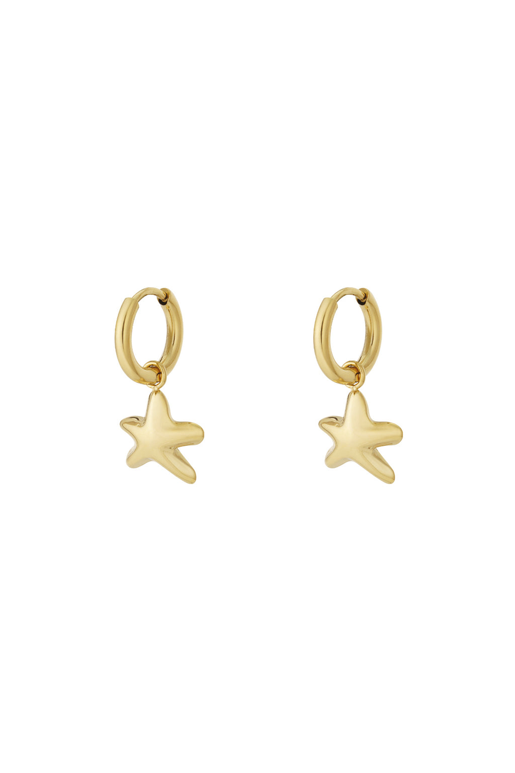 Oorbellen ster goud